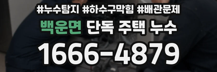 백운면 단독 주택 누수