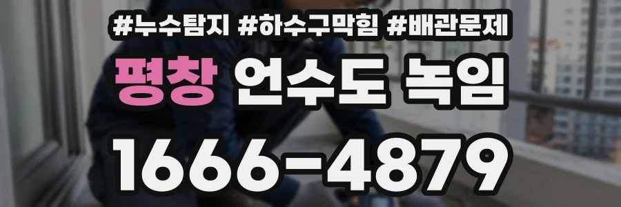 평창 언수도 녹임