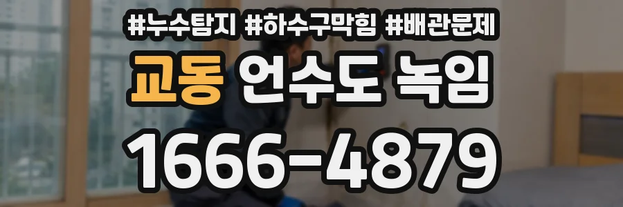 교동 언수도 녹임