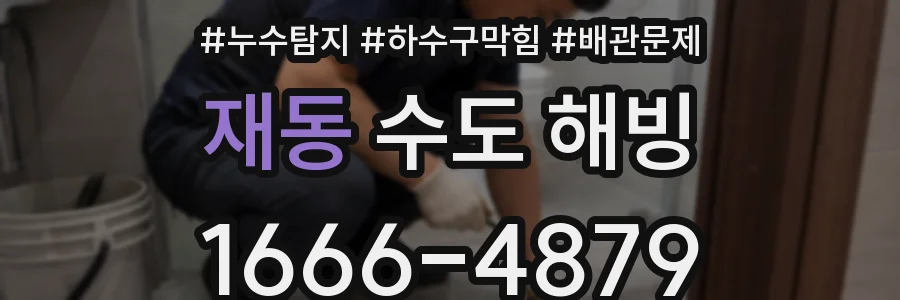 재동 수도 해빙