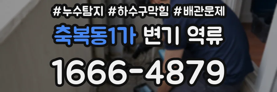 축복동1가 변기 역류