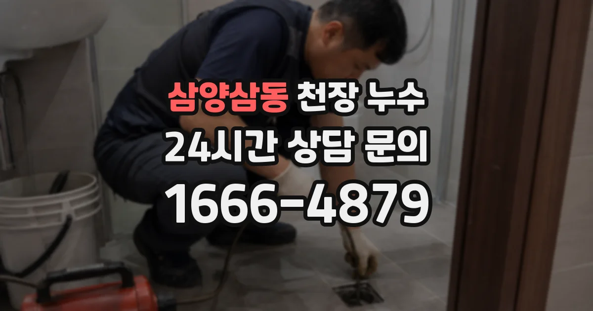 삼양삼동 천장 누수