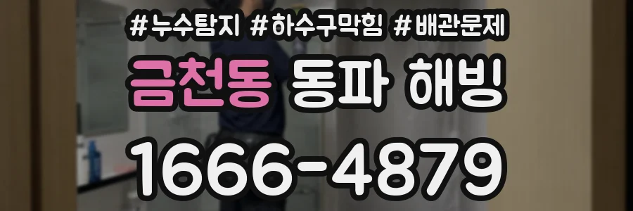 금천동 동파 해빙