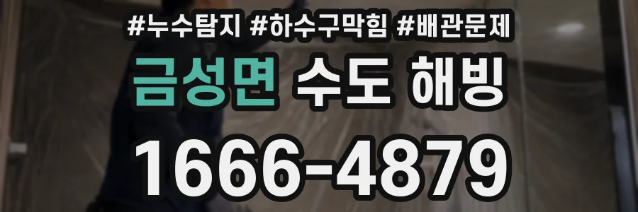 금성면 수도 해빙