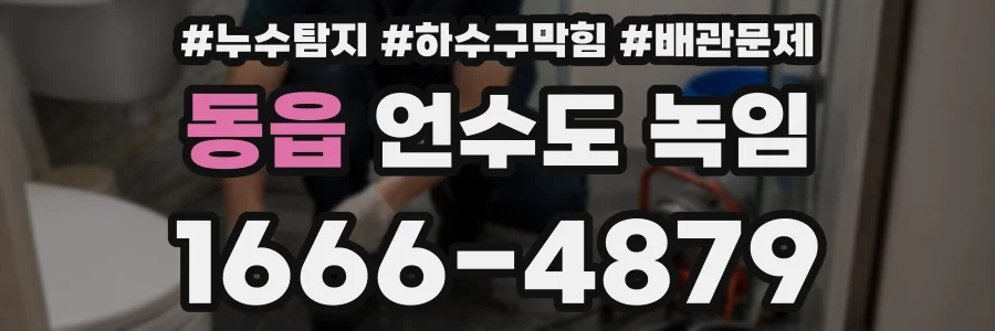 동읍 언수도 녹임