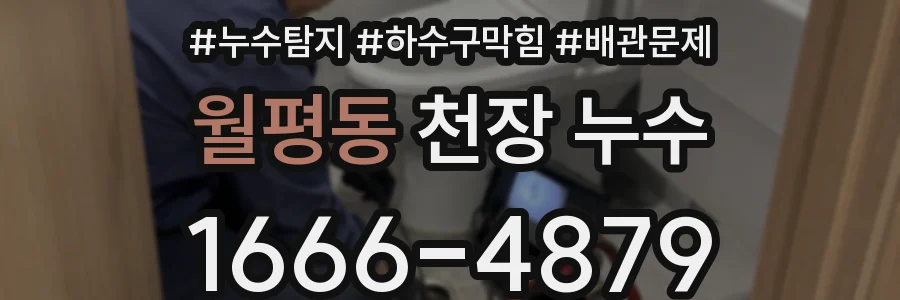 월평동 천장 누수