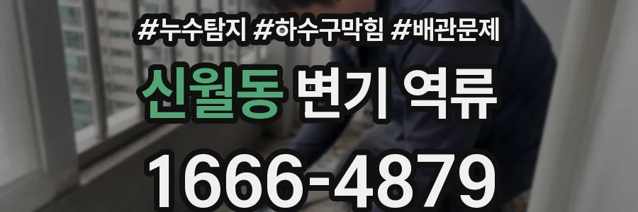 신월동 변기 역류