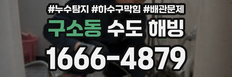 구소동 수도 해빙