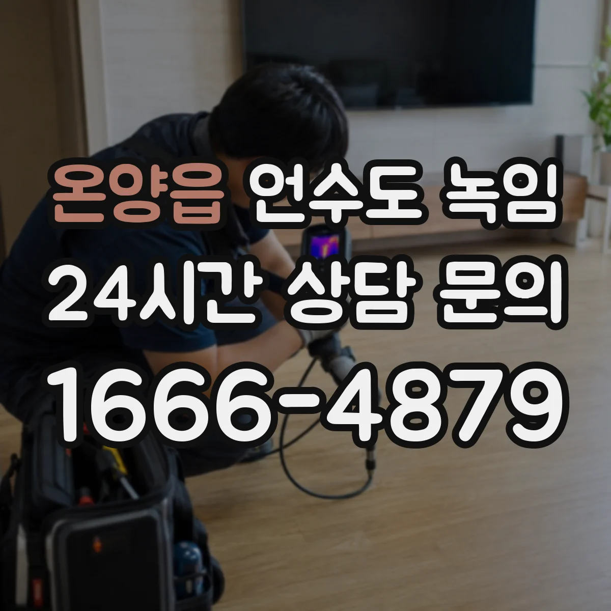 온양읍 언수도 녹임