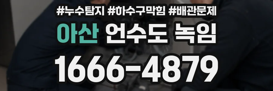 아산 언수도 녹임