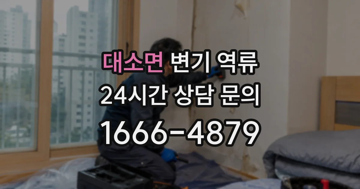 대소면 변기 역류