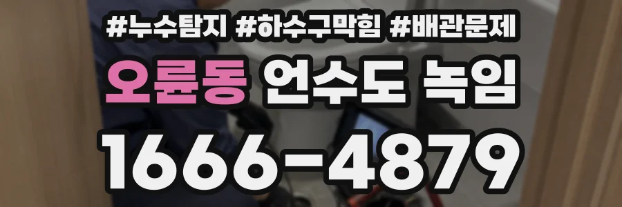 오륜동 언수도 녹임