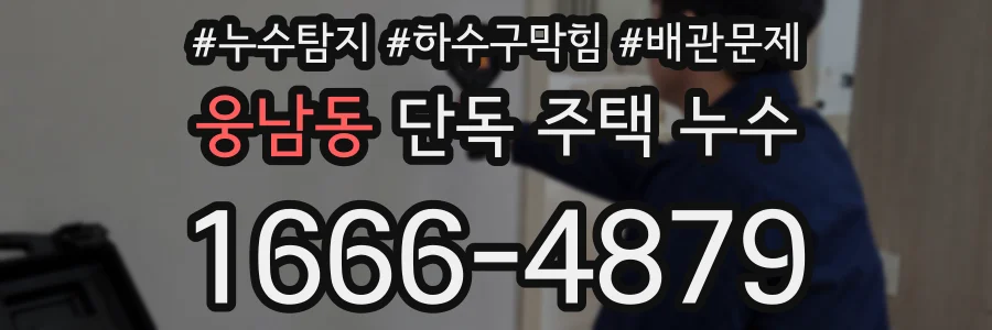웅남동 단독 주택 누수