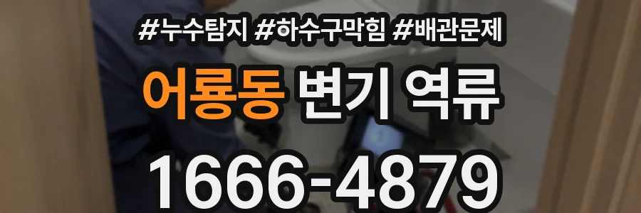 어룡동 변기 역류