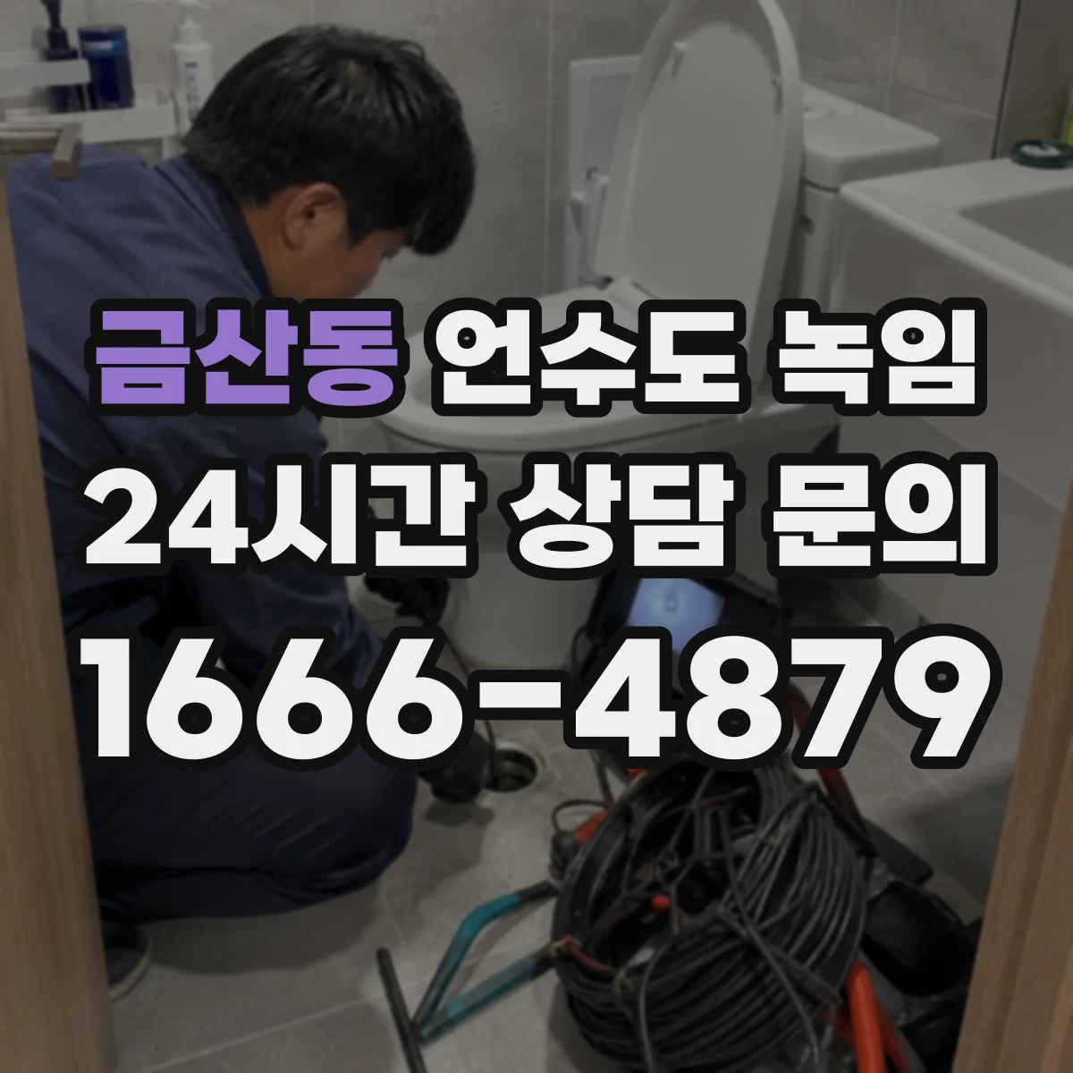 금산동 언수도 녹임