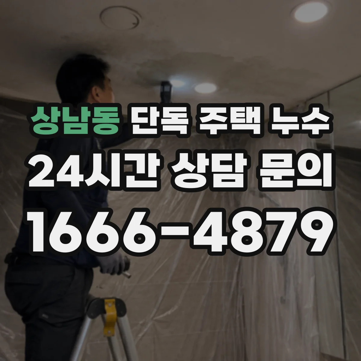 상남동 단독 주택 누수