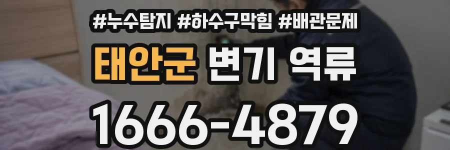 태안군 변기 역류