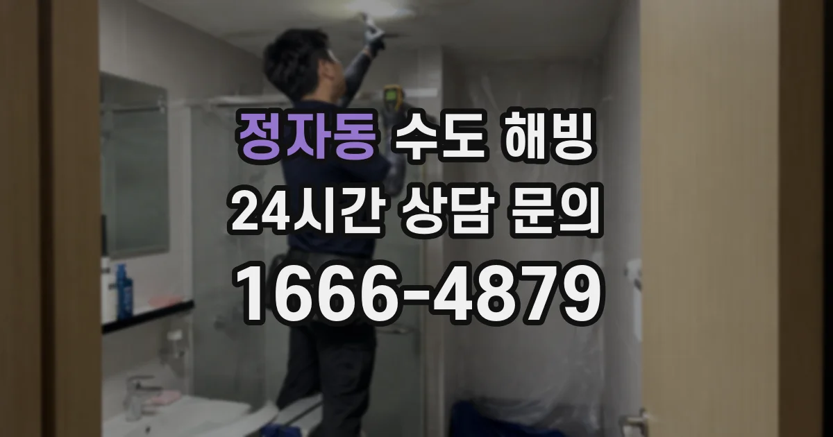 정자동 수도 해빙