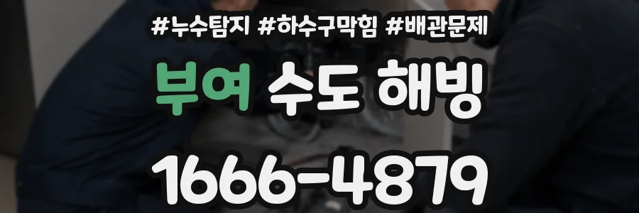 부여 수도 해빙