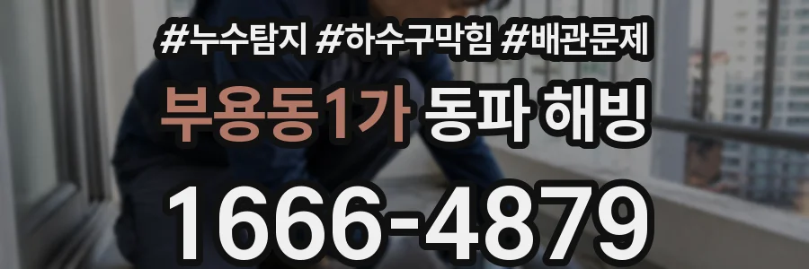 부용동1가 동파 해빙