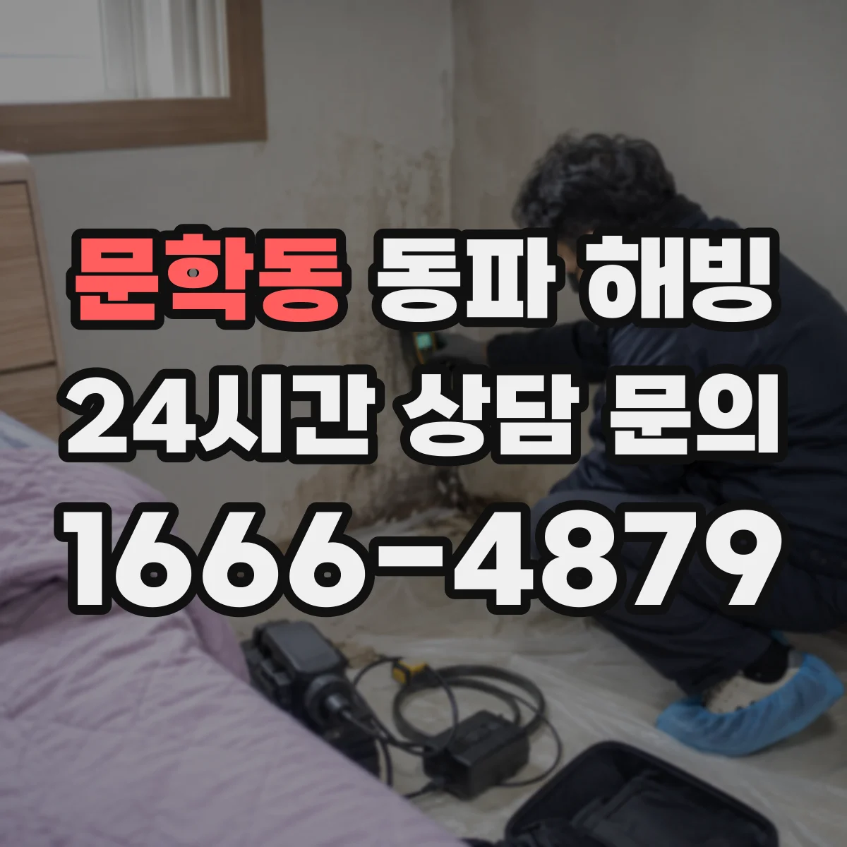 문학동 동파 해빙