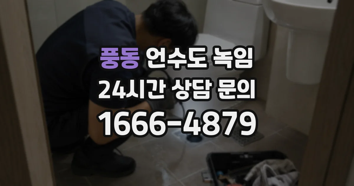 풍동 언수도 녹임