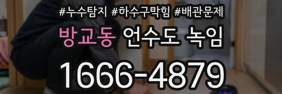 방교동 언수도 녹임
