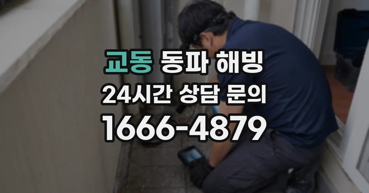 교동 동파 해빙