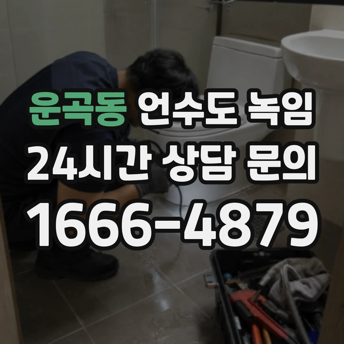 운곡동 언수도 녹임