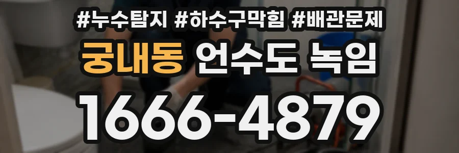 궁내동 언수도 녹임