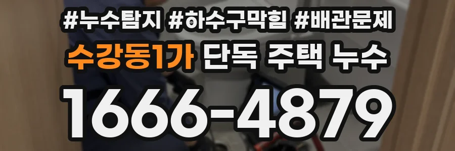 수강동1가 단독 주택 누수