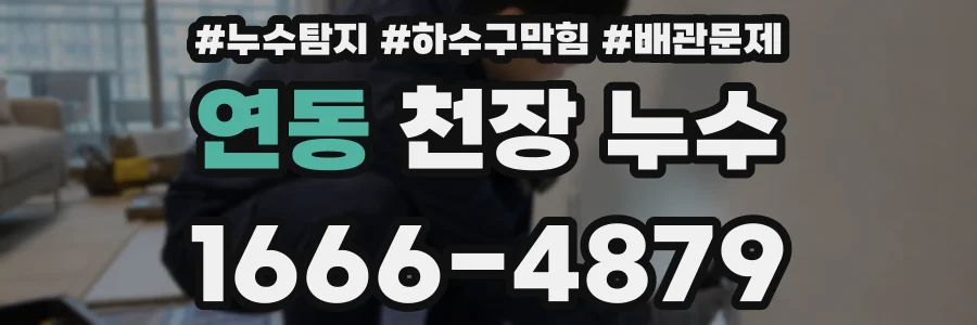 연동 천장 누수