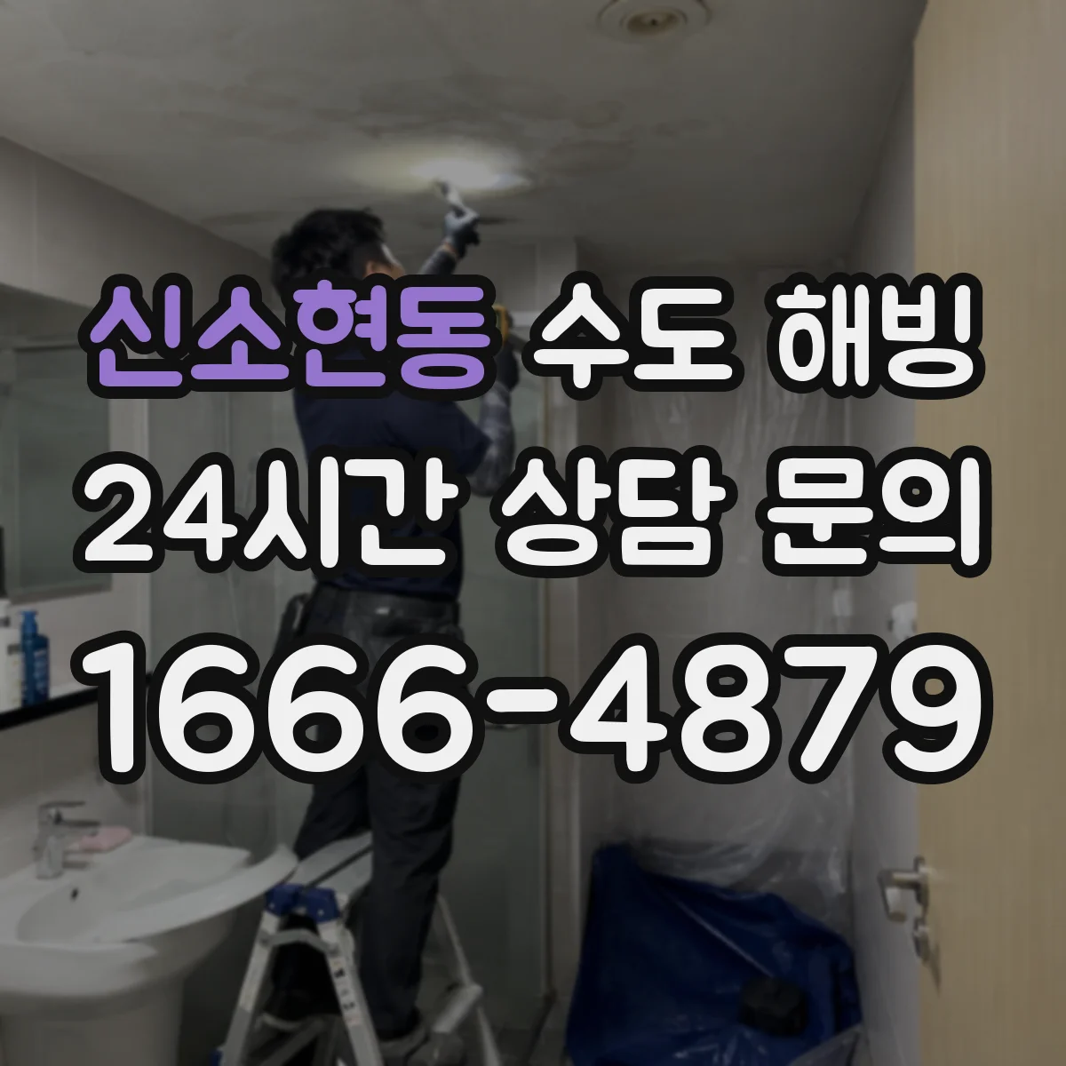 신소현동 수도 해빙