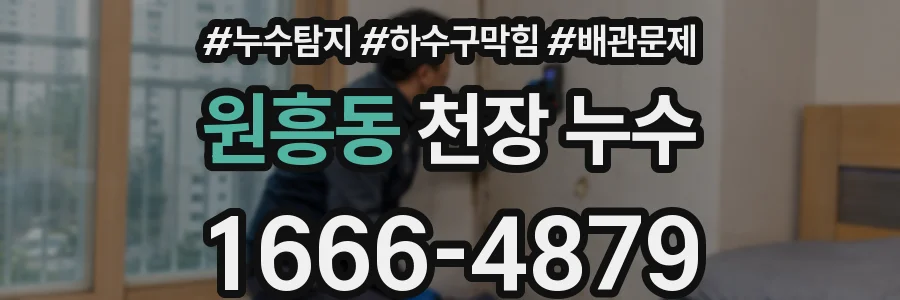 원흥동 천장 누수