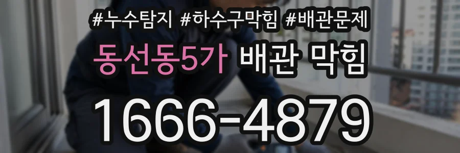 동선동5가 배관 막힘