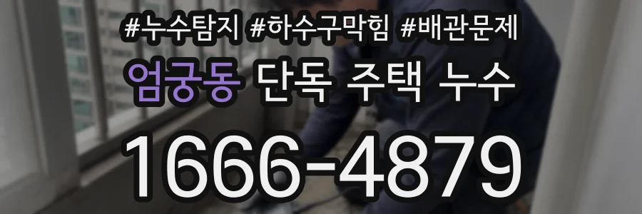 엄궁동 단독 주택 누수