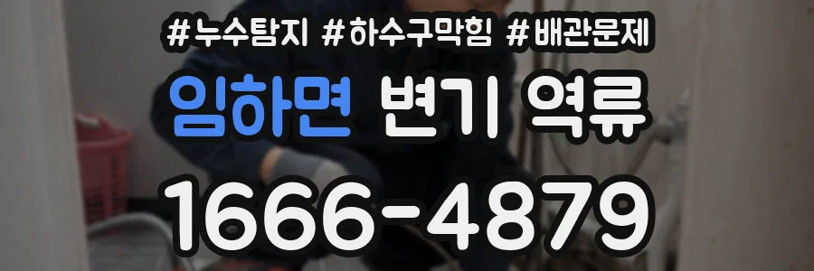 임하면 변기 역류
