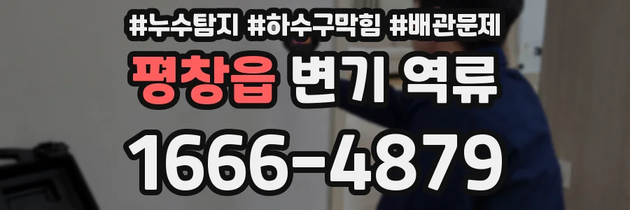 평창읍 변기 역류