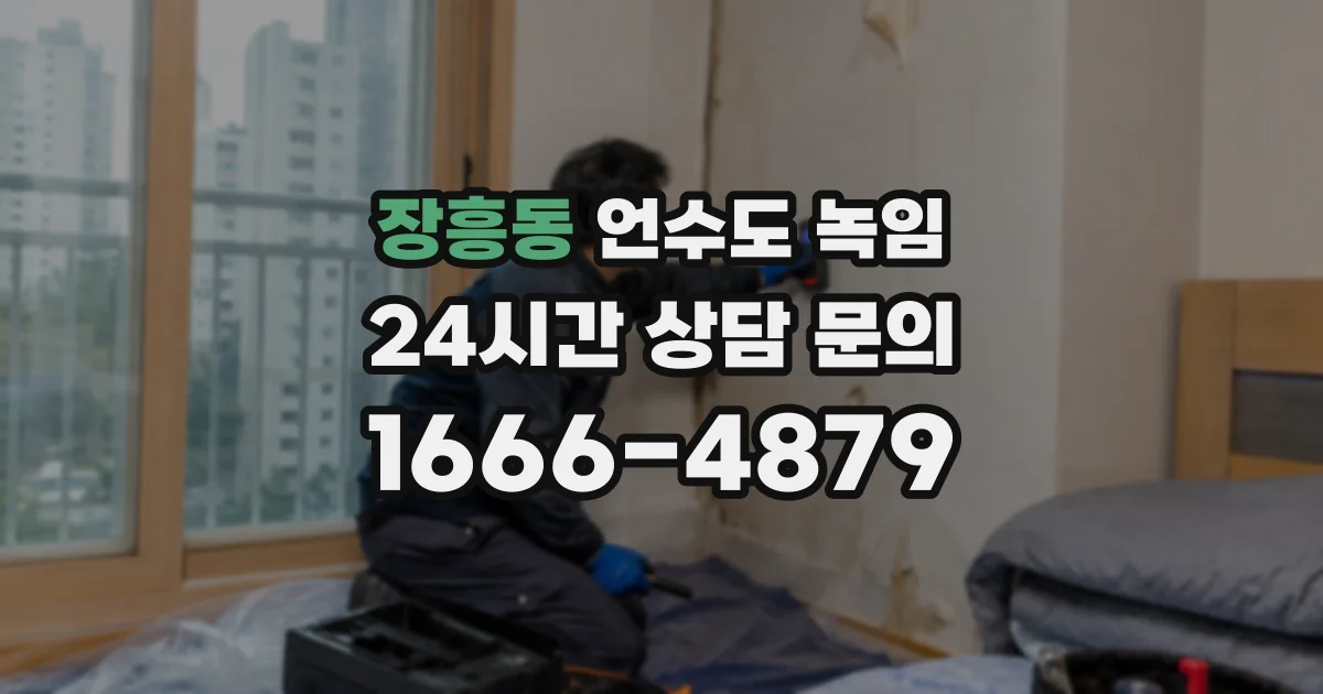 장흥동 언수도 녹임