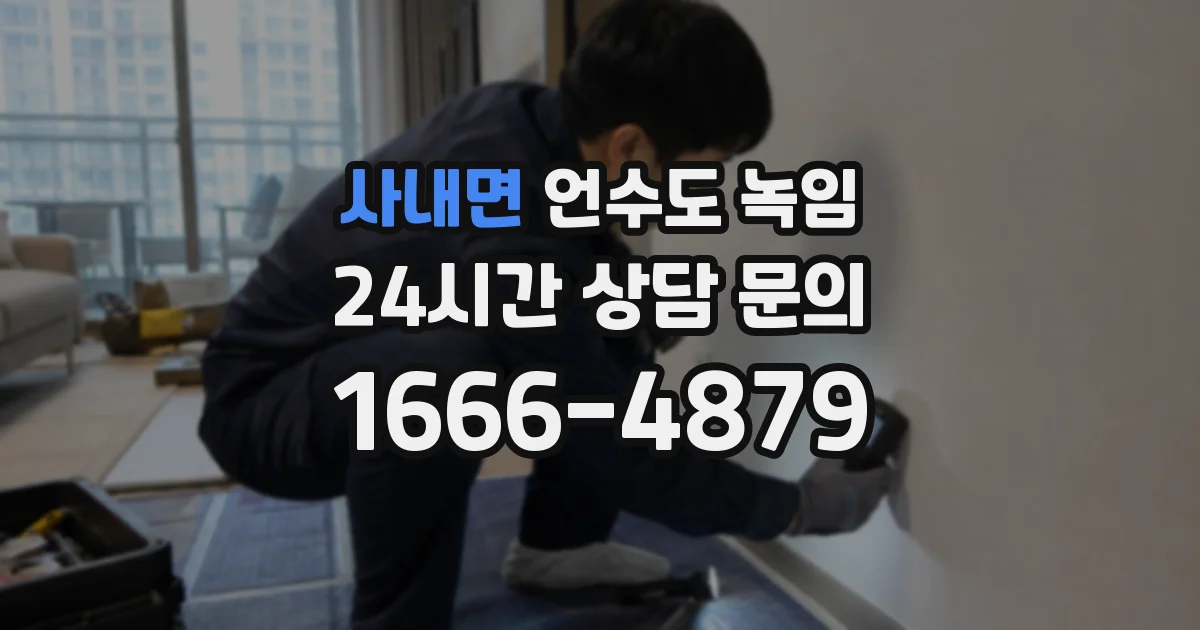 사내면 언수도 녹임
