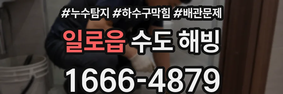 일로읍 수도 해빙
