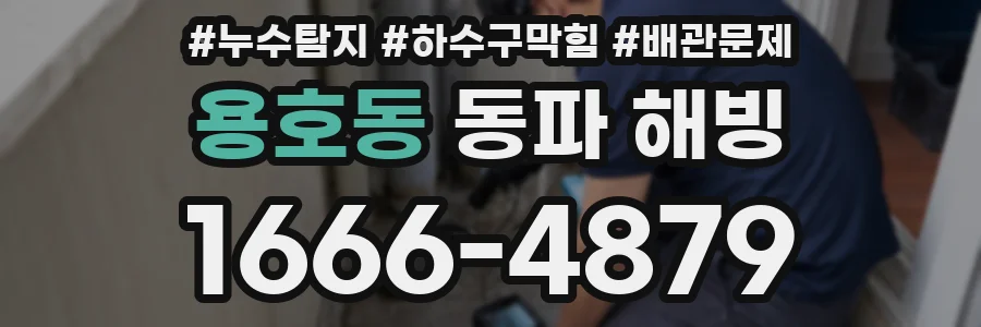 용호동 동파 해빙
