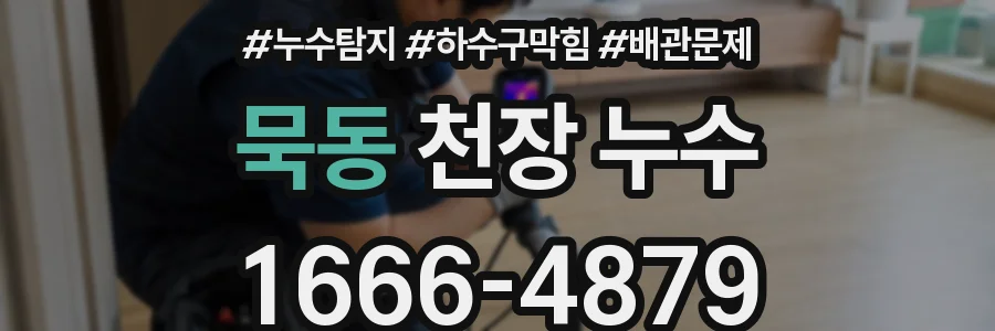 묵동 천장 누수