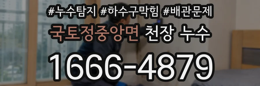 국토정중앙면 천장 누수
