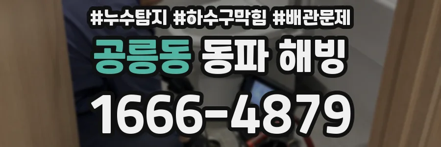 공릉동 동파 해빙