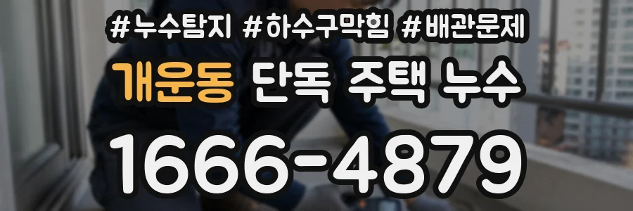 개운동 단독 주택 누수