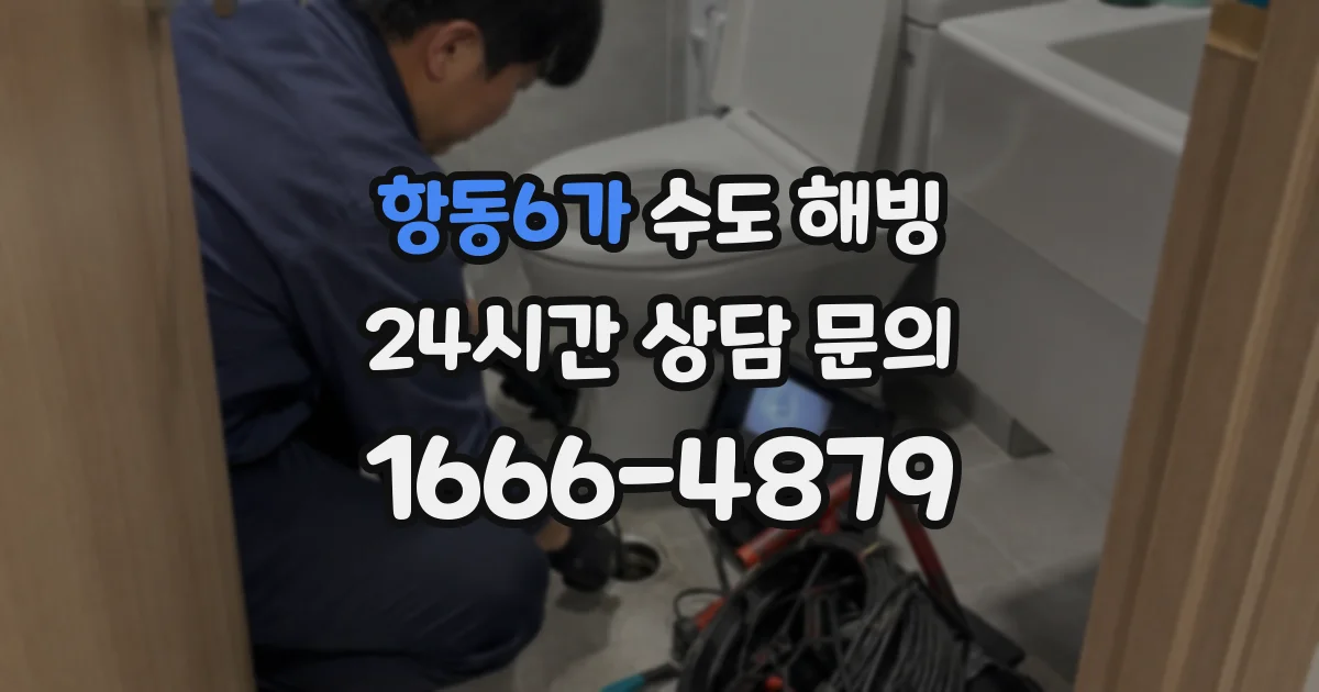 항동6가 수도 해빙