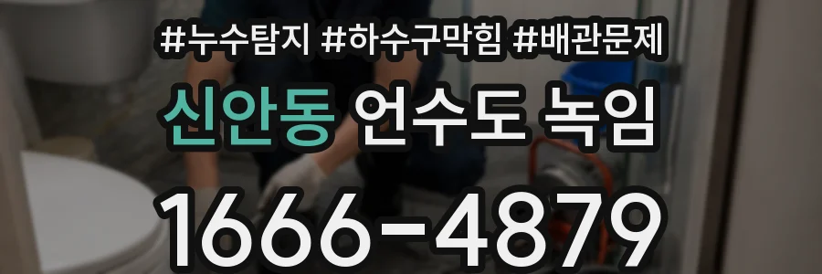 신안동 언수도 녹임