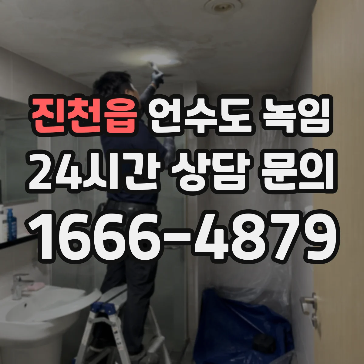 진천읍 언수도 녹임