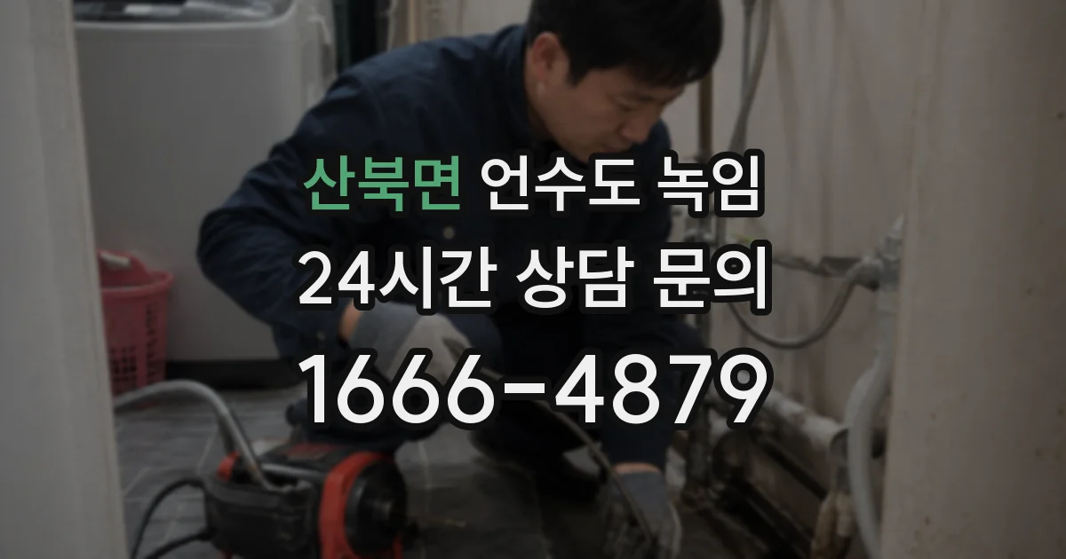 산북면 언수도 녹임